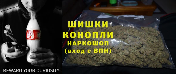 ПСИЛОЦИБИНОВЫЕ ГРИБЫ Лабытнанги
