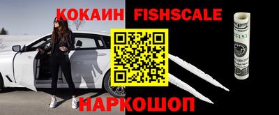 стаф Кингисепп
