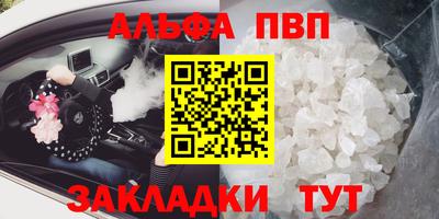 стаф Кингисепп