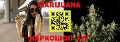 стаф Кингисепп