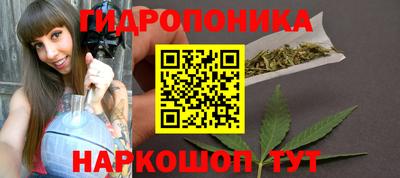 стаф Кингисепп