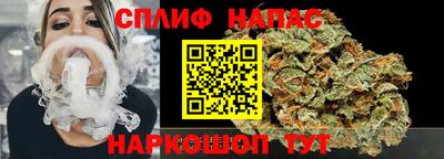 стаф Кингисепп