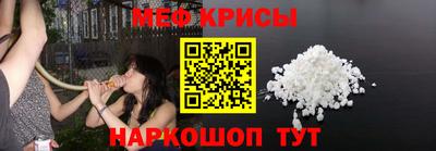 стаф Кингисепп