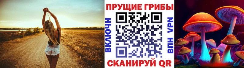 Псилоцибиновые грибы прущие грибы  Мурино 