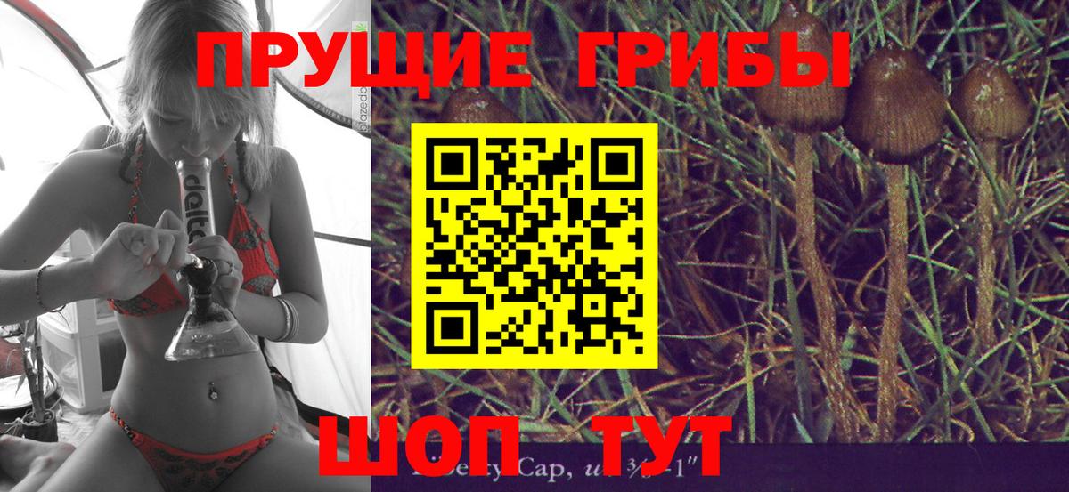 Галлюциногенные грибы Magic Shrooms  Псилоцибиновые грибы мицелий  Вход с VPN  Мурино 
